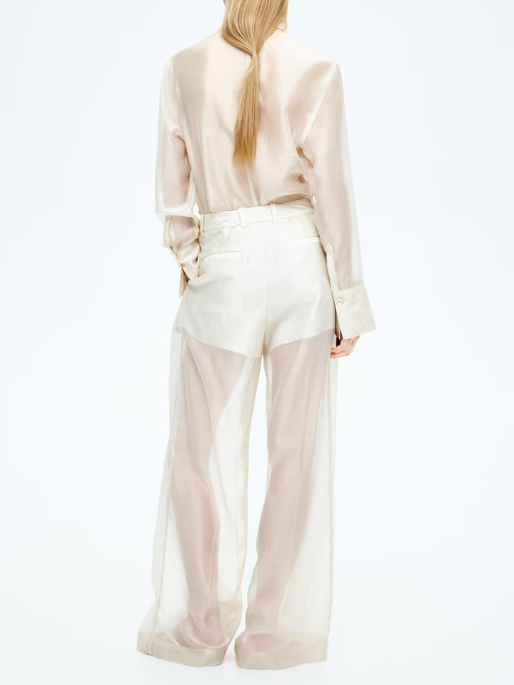 Wide-Leg Sheer Pants