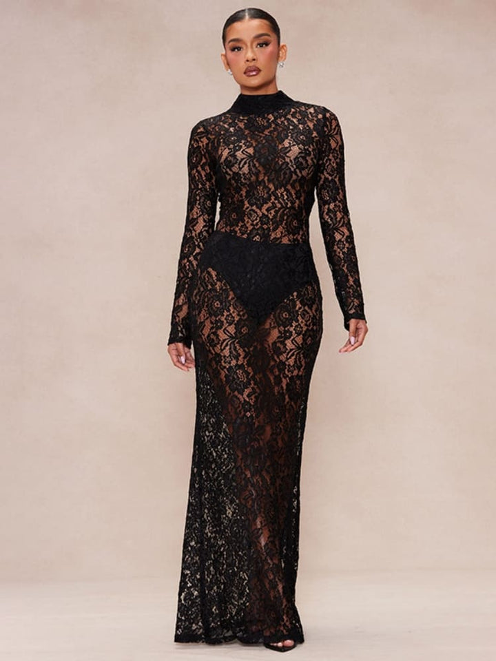 Sheer Lace Turtleneck Dress