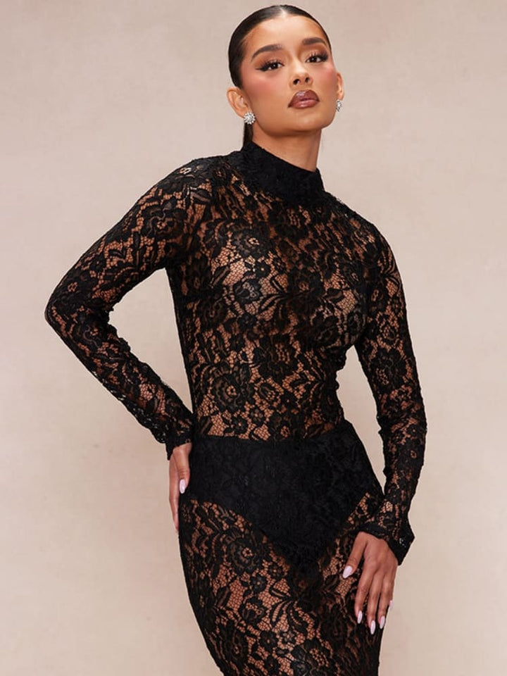 Sheer Lace Turtleneck Dress