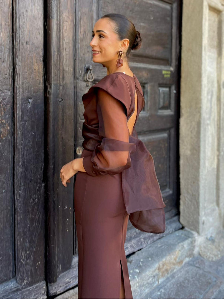 Chocolate Sheer Organza Tie Maxi Dress
